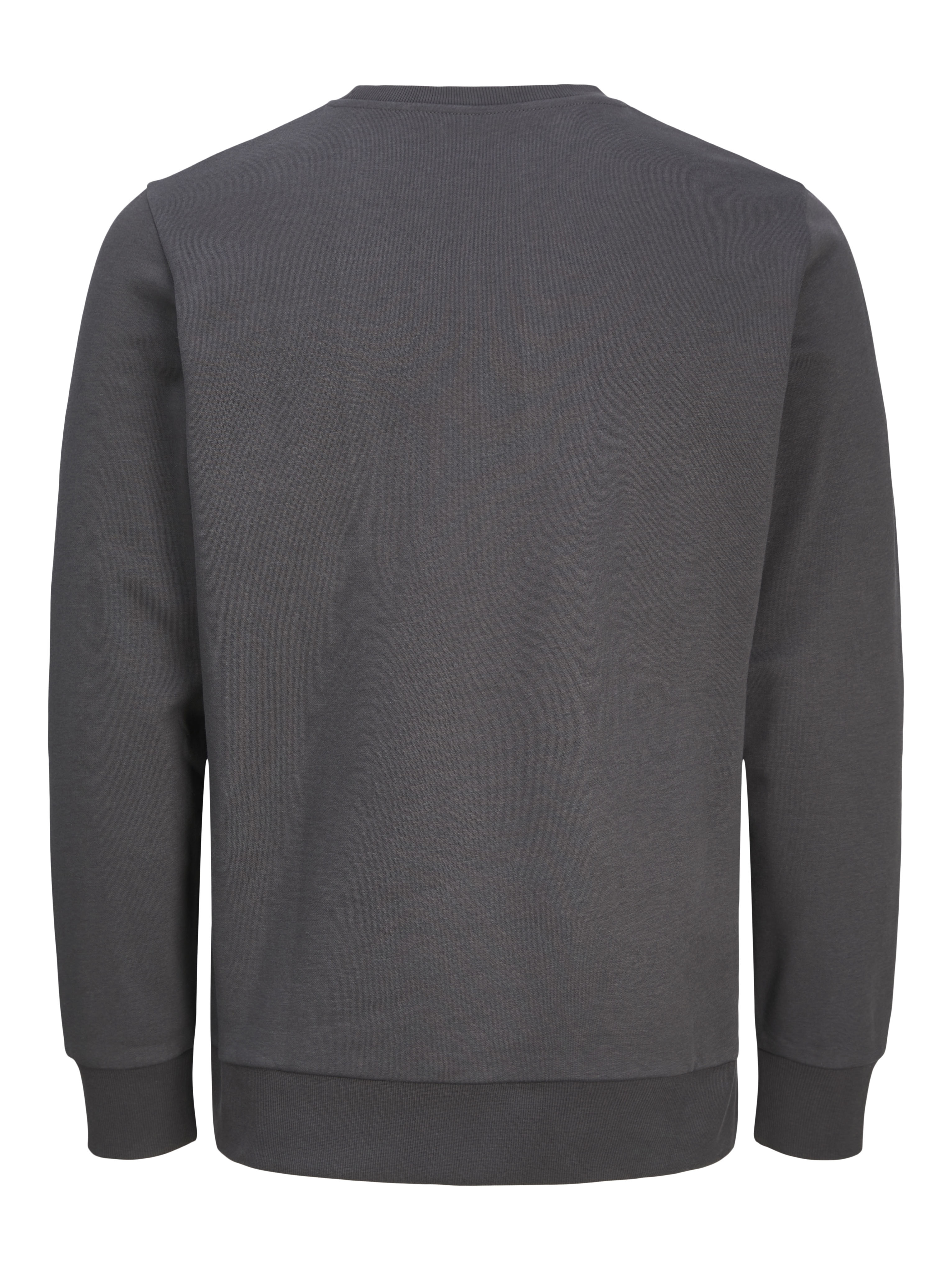 BLK3900 - Tour Crew Neck Sweat XXS / asphalt