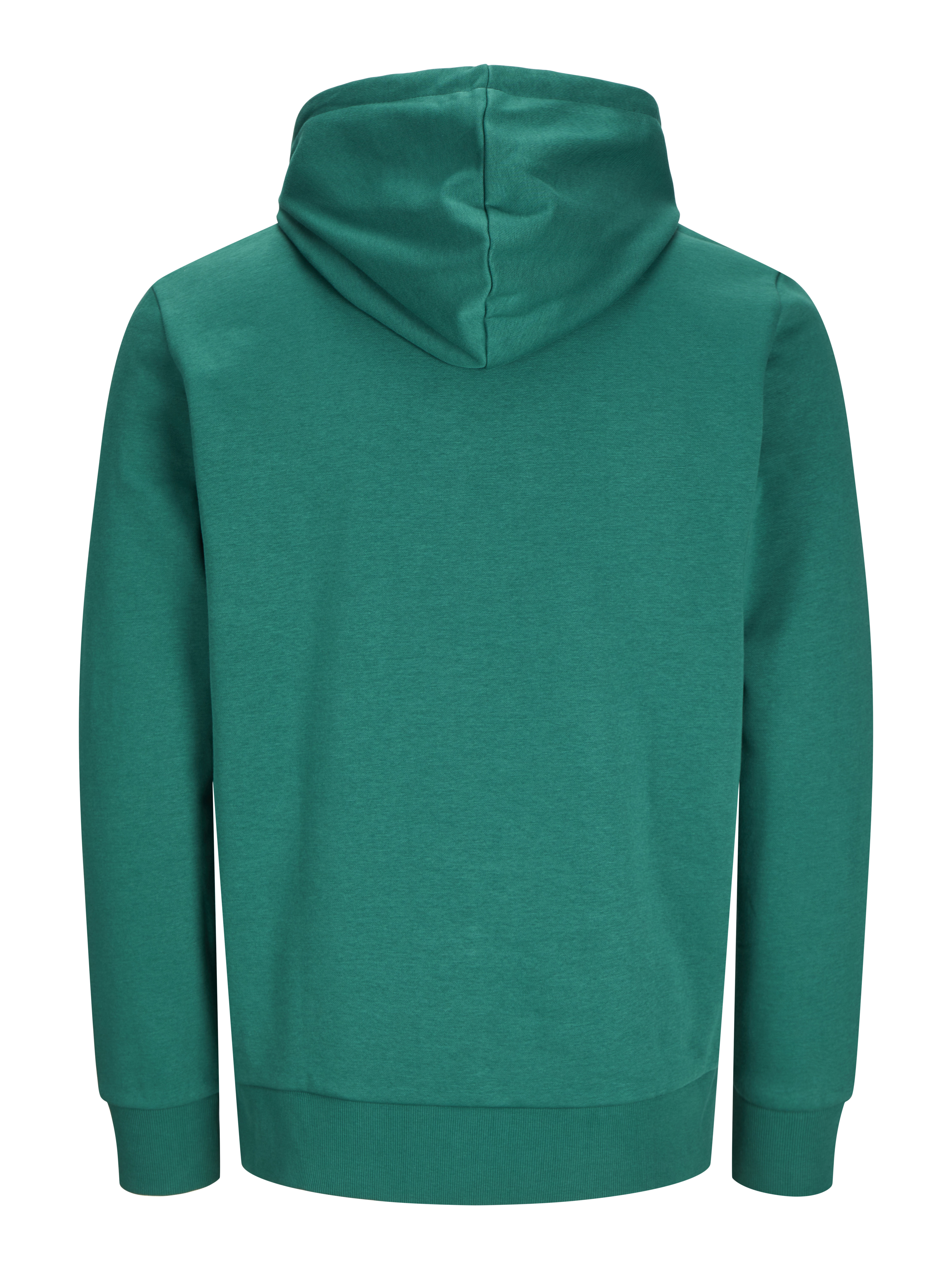 BLK3902 - Cosy Hoodie XXS / alpine green