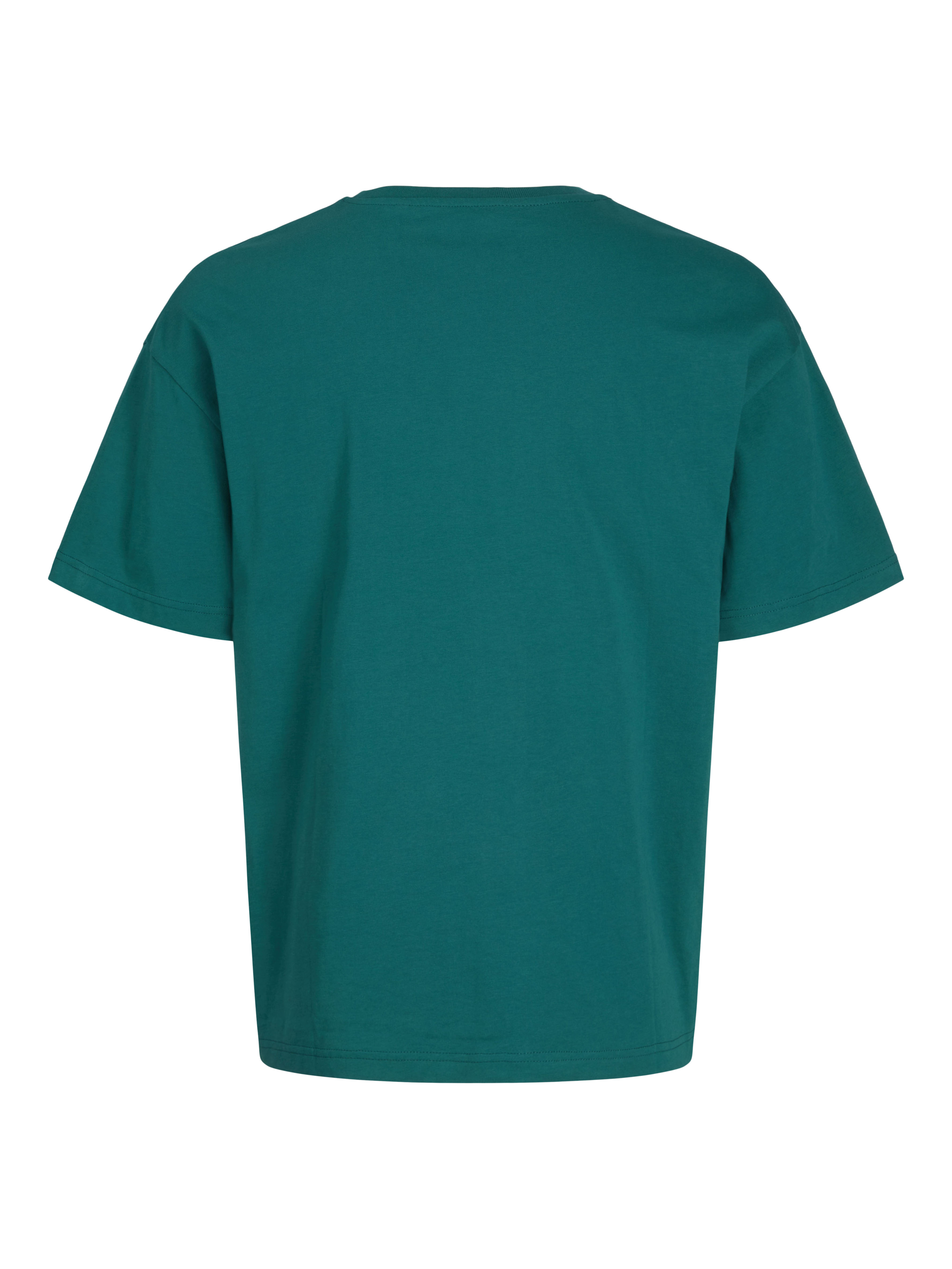 BLK3911 - Frame Oversize Tee XXS / alpine green