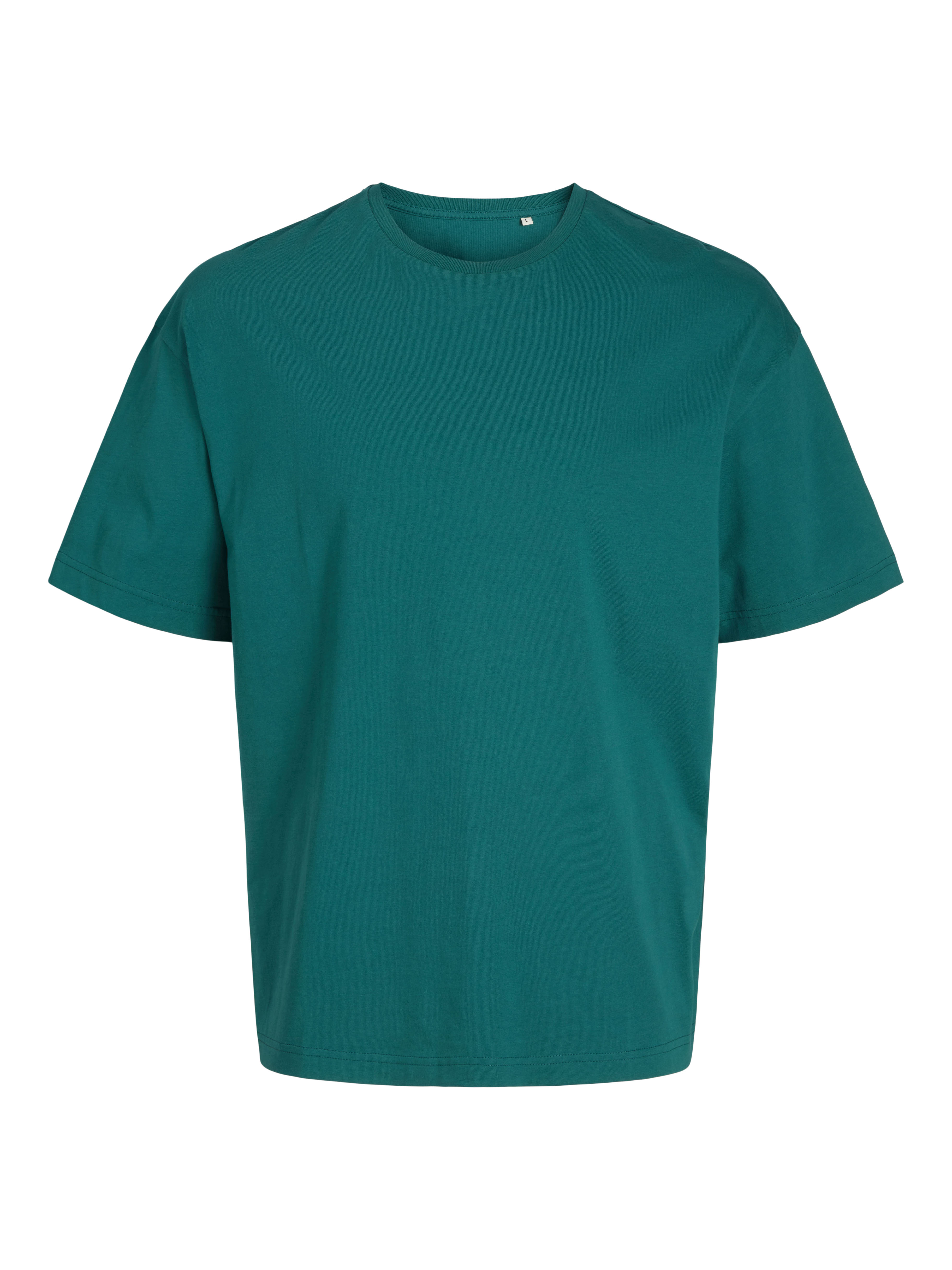 BLK3911 - Frame Oversize Tee XXS / alpine green