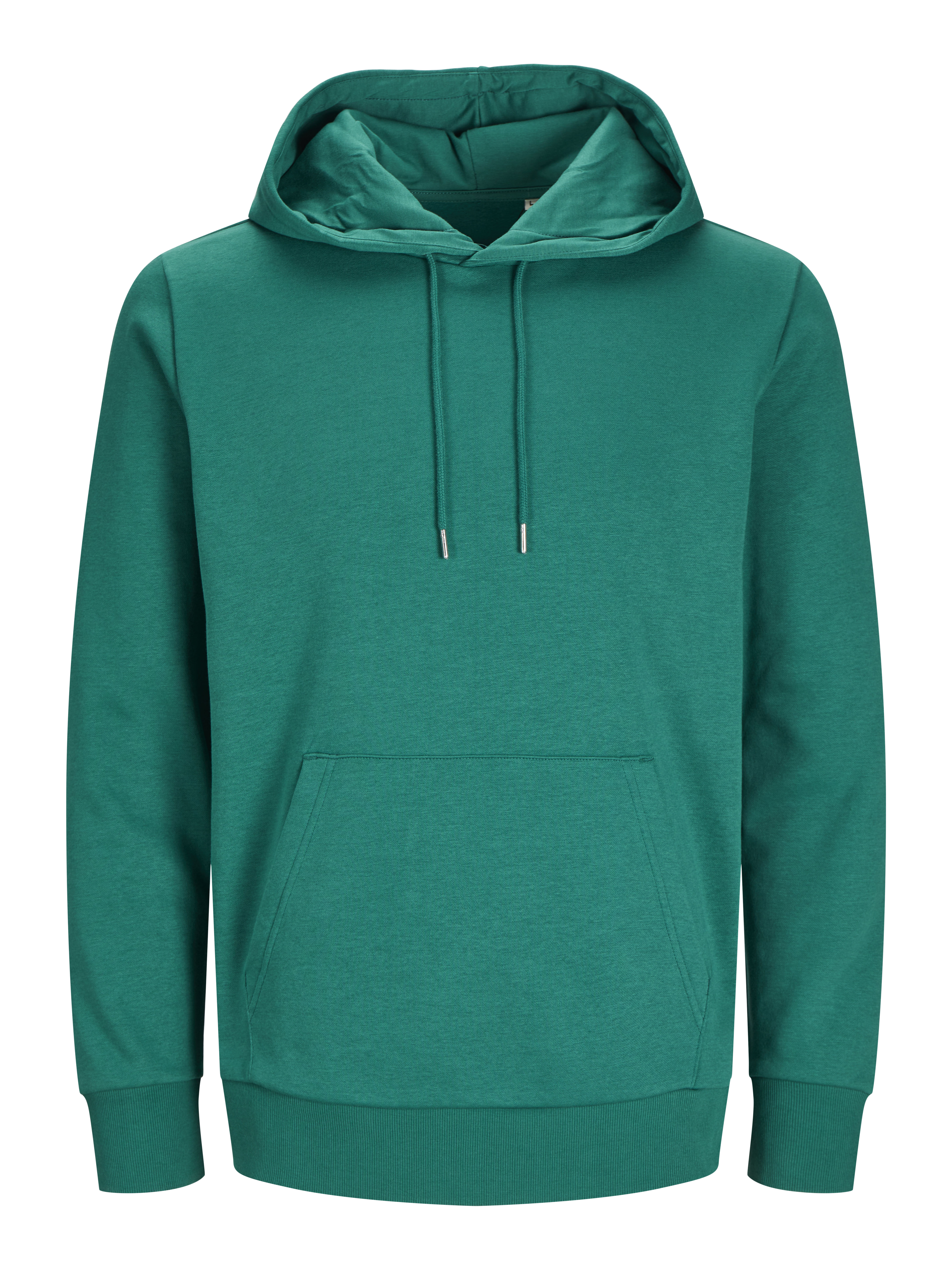 BLK3902 - Cosy Hoodie XXS / alpine green